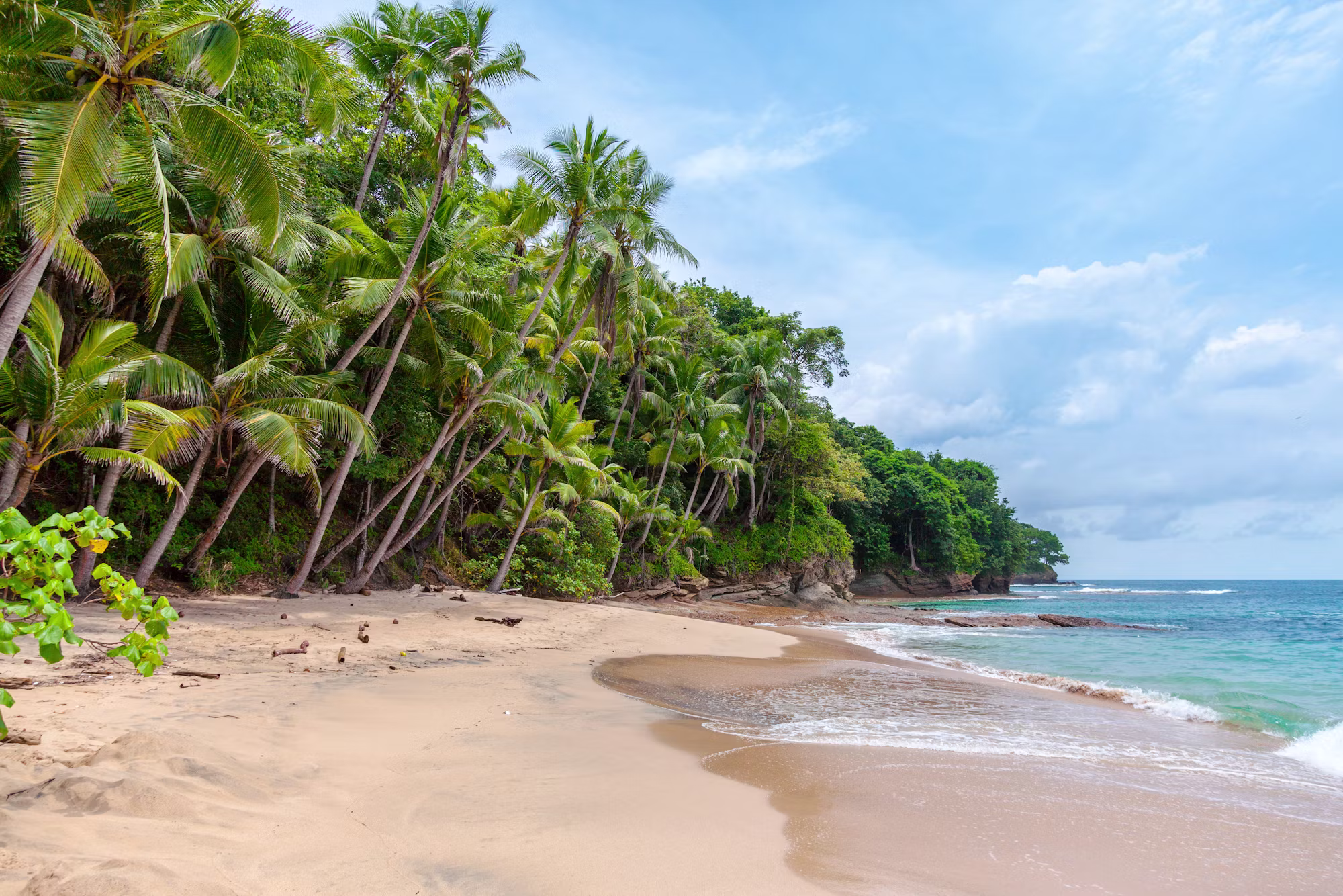 The Rise of Sustainable Travel: A Journey Towards Eco-Friendly Adventures